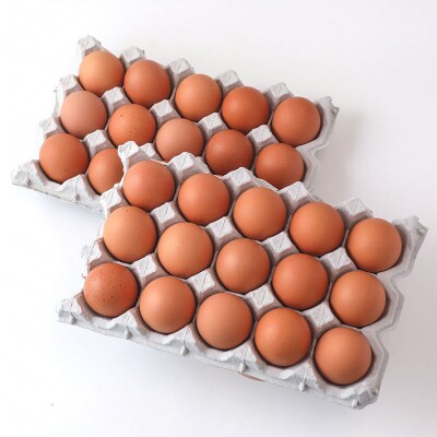 【6か月定期便】スズキのたまご 地養卵 50個＜5月中旬発送＞