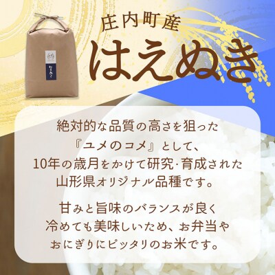 【新米受付】吉祥ファーム はえぬき 5kg【10月より順次発送】