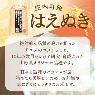 【新米受付】U米MON はえぬき 5kg【10月より順次発送】