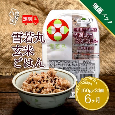 ＜4月中旬発送＞6か月定期便!雪若丸 玄米パックごはん 24個(入金期限:2026.3.25)