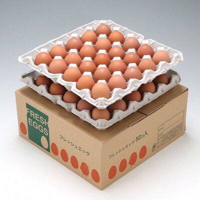 【6か月定期便】スズキのたまご 地養卵50個【6月中旬発送】