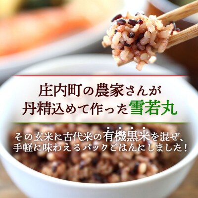 【6か月定期便】雪若丸 玄米パックごはん 24個【7月中旬発送】