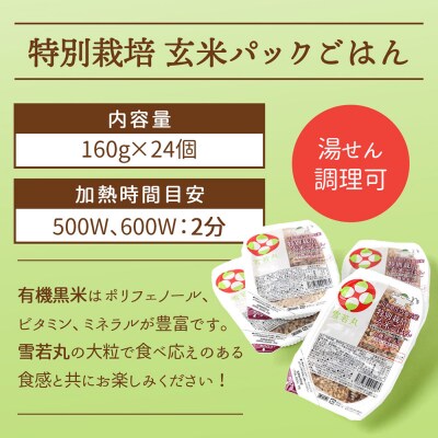 【定期便】雪若丸 玄米 パックごはん 160g×24個×6ヶ月 有機黒米入り【11月中旬発送】