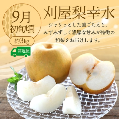 【R8.8月中旬より発送開始】食の都庄内 厳選フルーツ便C(入金期限:2026.7.31) 