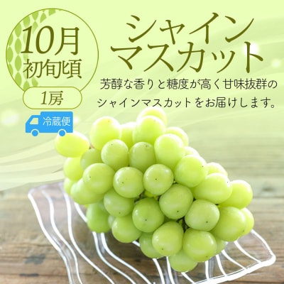 【R8.8月中旬より発送開始】食の都庄内 厳選フルーツ便C(入金期限:2026.7.31) 