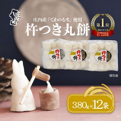 【12月発送】梅木もち屋 庄内産『でわのもち』を使用した杵つき餅 380g×12袋 個包装 丸もち
