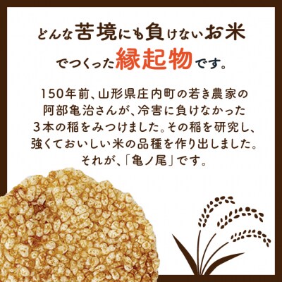 山形庄内かめこめプロジェクト 亀の尾せんべい 80g×12袋 つぶつぶ食感 煎餅 米菓 おやつ