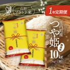 <11月下旬開始>庄内米1年定期便! つや姫無洗米10kg(入金期限:2025.10.25)