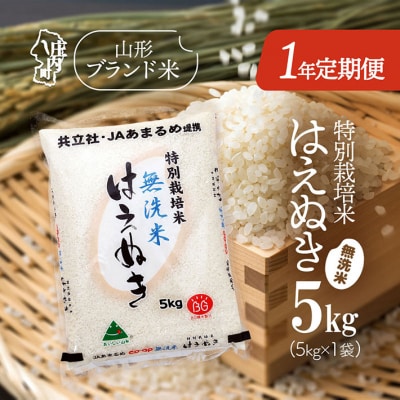 <11月開始>庄内米1年定期便!特別栽培米はえぬき無洗米 5kg(入金期限:2025.10.25)