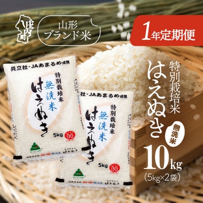<11月開始>庄内米1年定期便!特別栽培米はえぬき無洗米 10kg(入金期限:2025.10.25)