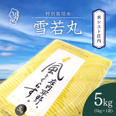 米シスト庄内 庄内平野、風と暮らす 雪若丸 5kg 特別栽培米 令和7年産 2025年産 ブランド米
