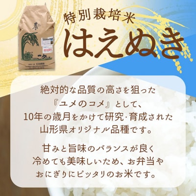 石垣農園の特別栽培米 はえぬき 5kg 令和7年産 2025年産 ブランド米