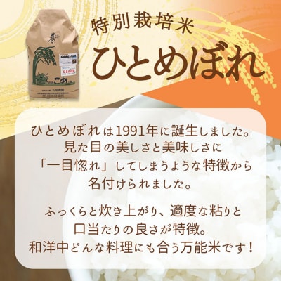 石垣農園の特別栽培米 ひとめぼれ 5kg 令和7年産 2025年産 ブランド米