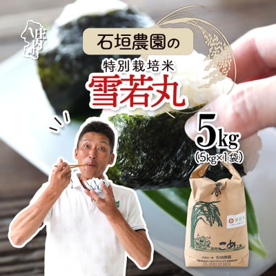 �Ί_�_���̓��ʍ͔|�� ���� 5kg �ߘa7�N�Y 2025�N�Y �u�����h��