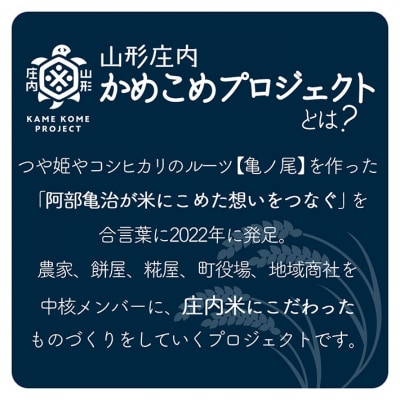 山形庄内かめこめプロジェクト 庄内米ギフト つや姫 300g×1袋 令和7年産 2025年産