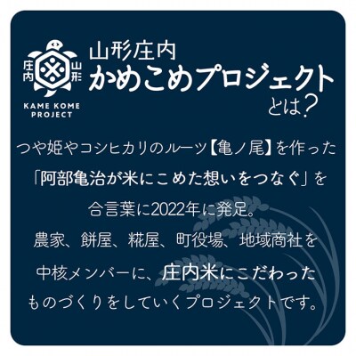 山形庄内かめこめプロジェクト 庄内米ギフト 雪若丸 300g×1袋 令和7年産 2025年産