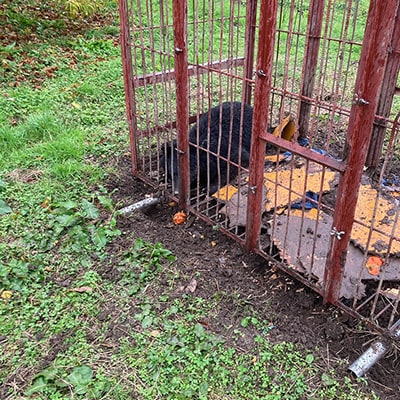 【返礼品なし】熊被害対策支援(山形県庄内町)