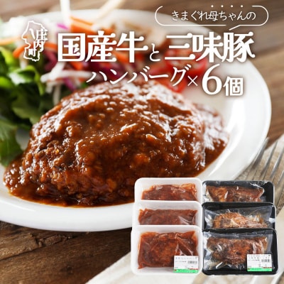 きまぐれ母ちゃんの国産牛と三味豚ハンバーグ 6個 2種類 手作り ブランド豚 国産 お惣菜 おかず