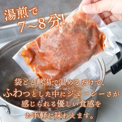 きまぐれ母ちゃんの国産牛と三味豚ハンバーグ 6個 2種類 手作り ブランド豚 国産 お惣菜 おかず