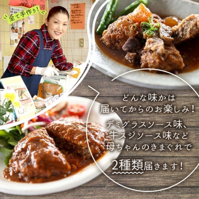 きまぐれ母ちゃんの国産牛と三味豚ハンバーグ 6個 2種類 手作り ブランド豚 国産 お惣菜 おかず
