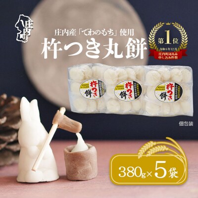 【2月発送】梅木もち屋 庄内産『でわのもち』を使用した杵つき餅 380g×5袋 個包装 丸もち