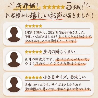 【2月発送】梅木もち屋 庄内産『でわのもち』を使用した杵つき餅 380g×5袋 個包装 丸もち