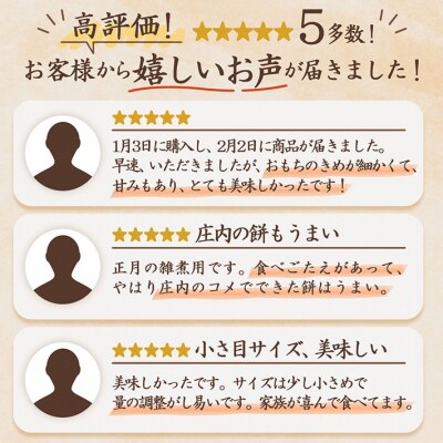 【3月発送】梅木もち屋 庄内産『でわのもち』を使用した杵つき餅 380g×3袋 個包装 丸もち