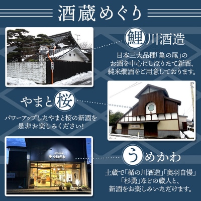 「米のふる里 新酒まつり 2026 in 庄内町」記念盃付きチケット(入金期限:2026.2.15)