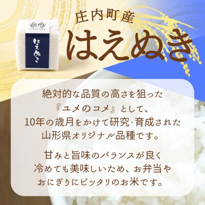吉祥ファーム 2合キューブ×1個 はえぬき 300g 無洗米 令和8年産 2026年産 ブランド米