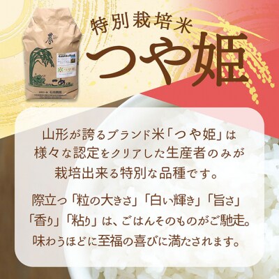 【新米受付】石垣農園の特別栽培米 つや姫 5kg【10月より順次発送】