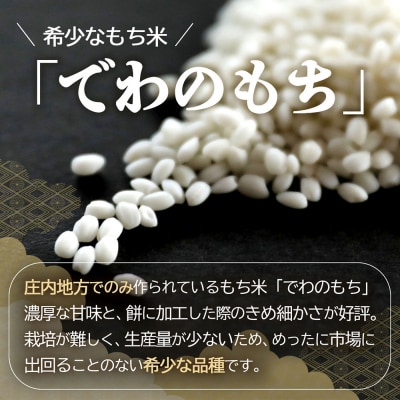 【R9.1月発送】JAあまるめ 杵つき丸もち 500g×3袋 1.5kg 個包装