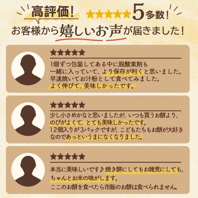 【R9.1月発送】JAあまるめ 杵つき切りもち 1kg×10袋 10kg 個包装