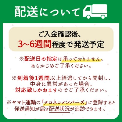 庄内発酵堂 醤油糀 160g×5個 発酵調味料 簡単 美味しい 万能調味料 国産 健康 腸活 麹
