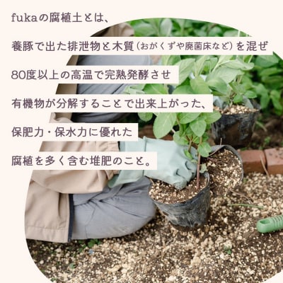 fuka 腐植土 7L×2袋 小袋 国産 完熟発酵 堆肥 有機堆肥 高温発酵 保肥力 保水力