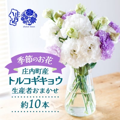 【R8.9月下旬発送】庄内町フラワーラボ トルコギキョウ 生産者おまかせ 10本