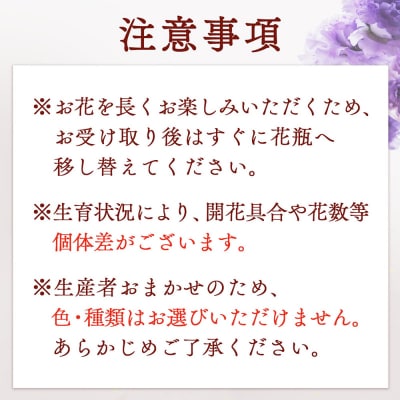 【R8.12月発送】庄内町フラワーラボ ストック 生産者おまかせ 10本~15本 ミックス