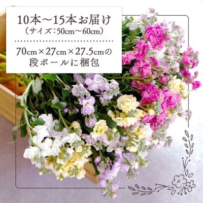 【R9.1月発送】庄内町フラワーラボ ストック 生産者おまかせ 10本~15本 ミックス