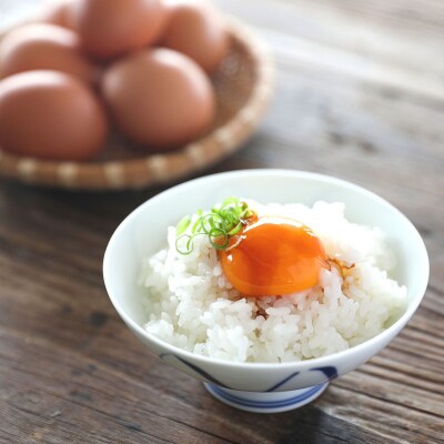 【定期便】地養卵 約5kg 80~90個×6ヶ月 MS~Lサイズ 赤たまご 卵【9月中旬発送】