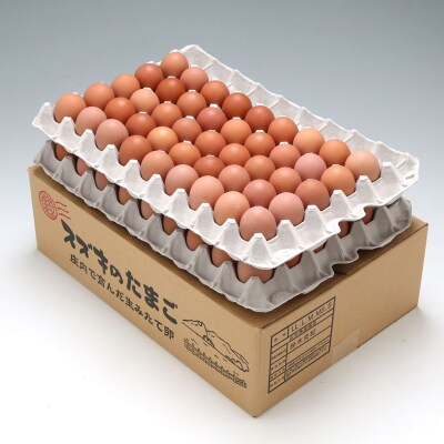 【定期便】地養卵 約5kg 80~90個×6ヶ月 MS~Lサイズ 赤たまご 卵【9月中旬発送】