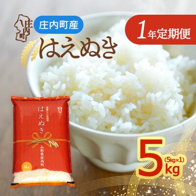 【定期便】<令和8年産>はえぬき 5kg×1袋×1年間 毎月 5kg【10月中旬発送】