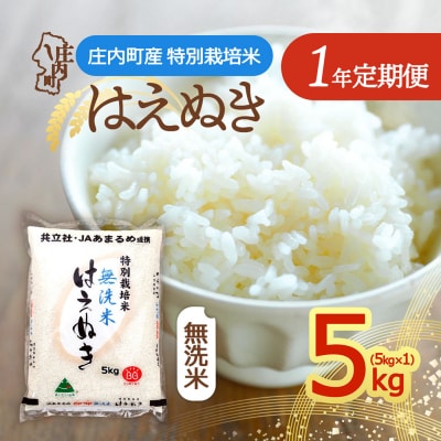 【定期便】<令和8年産>特別栽培米 はえぬき 無洗米 5kg×1袋×1年間【10月中旬発送】