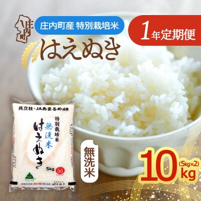 【定期便】<令和8年産>特別栽培米 はえぬき 無洗米 5kg×2袋×1年間【10月中旬発送】