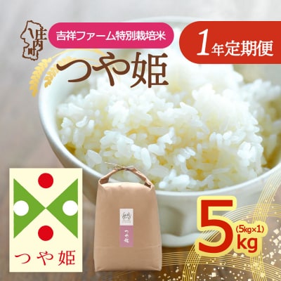 【定期便】<令和8年産>つや姫 5kg×1袋×1年間 毎月 5kg 金賞受賞農家【10月中旬発送】