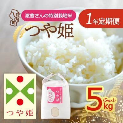 【定期便】<令和8年産>渡會さんのつや姫 5kg×1袋×1年間 毎月 5kg【10月中旬発送】