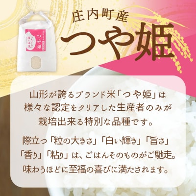 【定期便】<令和8年産>渡會さんのつや姫 5kg×1袋×1年間 毎月 5kg【10月中旬発送】