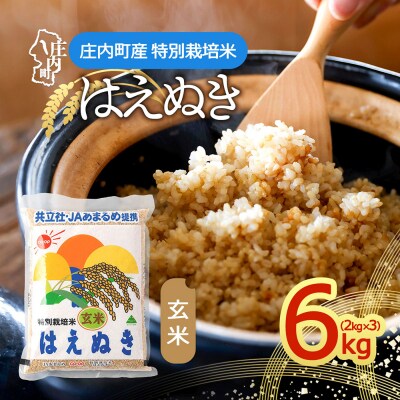 特別栽培米玄米はえぬき 6kg 2kg×3袋 庄内町産 令和7年産 2025年産 ブランド米