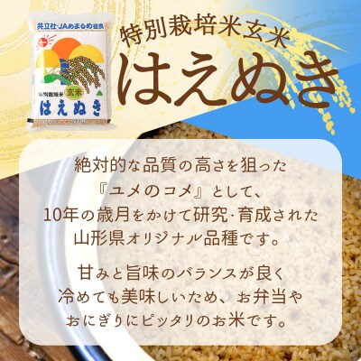 特別栽培米玄米はえぬき 6kg 2kg×3袋 庄内町産 令和7年産 2025年産 ブランド米