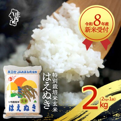 【新米受付】R8年産 特別栽培米はえぬき玄米 2kg【10月より順次発送】