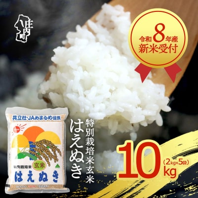 【新米受付】R8年産 特別栽培米はえぬき玄米 10kg【10月より順次発送】