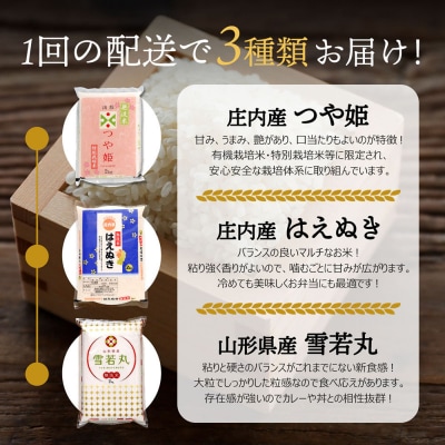 【新米受付】R8年産 山形のブランド米 無洗米食べ比べセット 6kg【10月より順次発送】